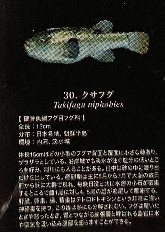 Amazon | ユージン 原色 淡水魚図鑑 Ⅱ 改訂版 3種 26 ブルーギル 30